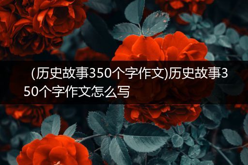 （历史故事350个字作文)历史故事350个字作文怎么写