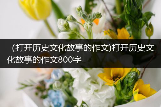 （打开历史文化故事的作文)打开历史文化故事的作文800字