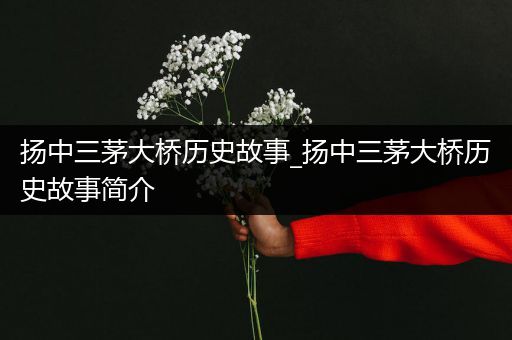 扬中三茅大桥历史故事_扬中三茅大桥历史故事简介