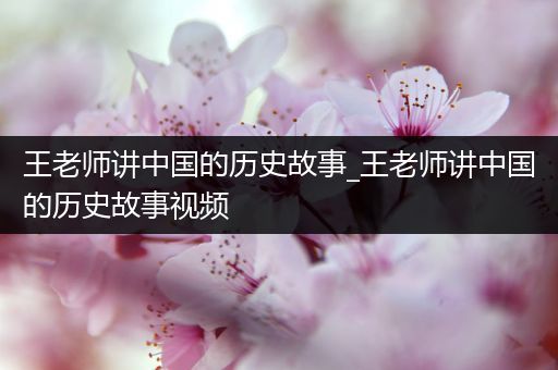 王老师讲中国的历史故事_王老师讲中国的历史故事视频