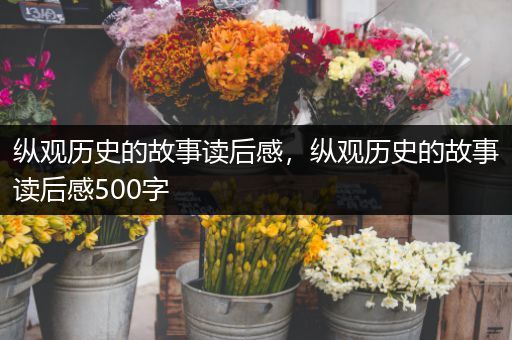 纵观历史的故事读后感，纵观历史的故事读后感500字