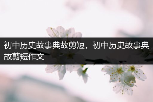 初中历史故事典故剪短，初中历史故事典故剪短作文