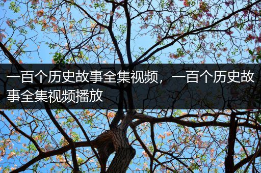 一百个历史故事全集视频，一百个历史故事全集视频播放