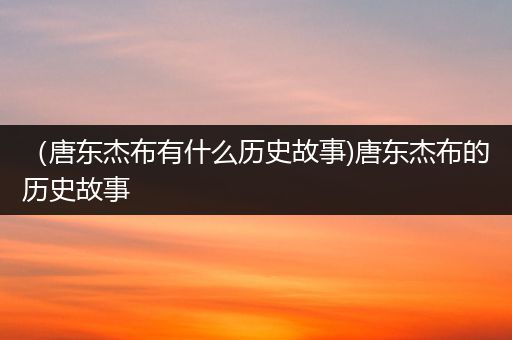 （唐东杰布有什么历史故事)唐东杰布的历史故事