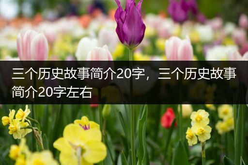 三个历史故事简介20字，三个历史故事简介20字左右