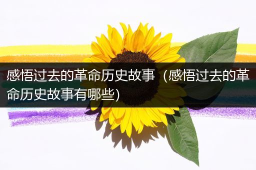 感悟过去的革命历史故事（感悟过去的革命历史故事有哪些）