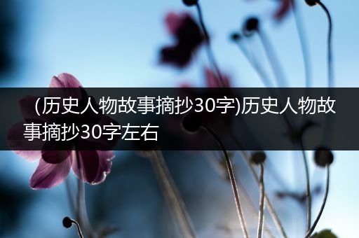 （历史人物故事摘抄30字)历史人物故事摘抄30字左右