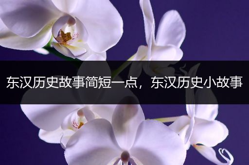 东汉历史故事简短一点，东汉历史小故事