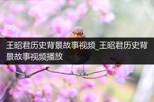 王昭君历史背景故事视频_王昭君历史背景故事视频播放