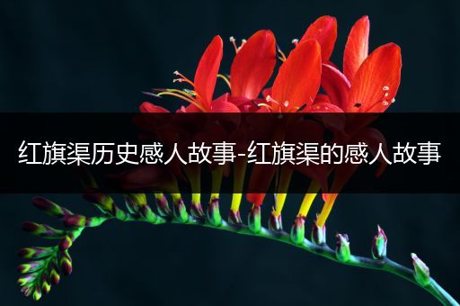 红旗渠历史感人故事-红旗渠的感人故事