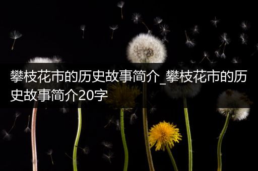 攀枝花市的历史故事简介_攀枝花市的历史故事简介20字