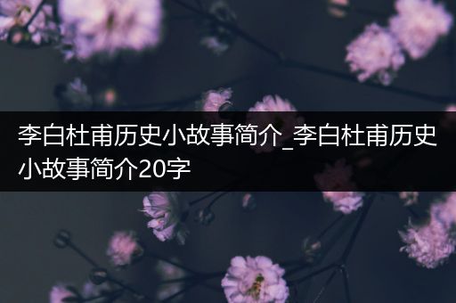 李白杜甫历史小故事简介_李白杜甫历史小故事简介20字