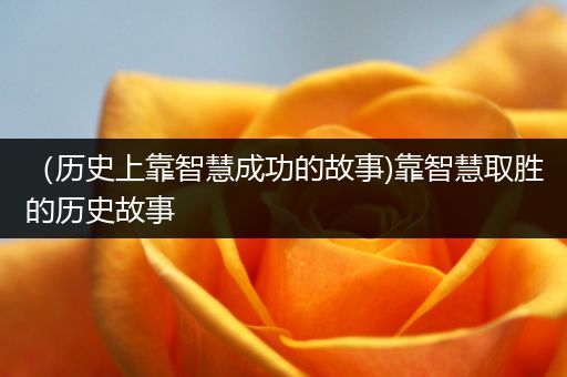 （历史上靠智慧成功的故事)靠智慧取胜的历史故事