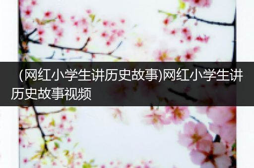 （网红小学生讲历史故事)网红小学生讲历史故事视频