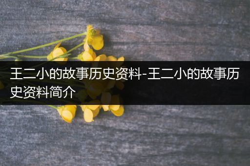 王二小的故事历史资料-王二小的故事历史资料简介