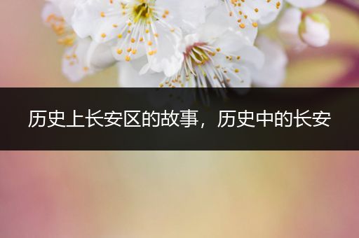 历史上长安区的故事，历史中的长安