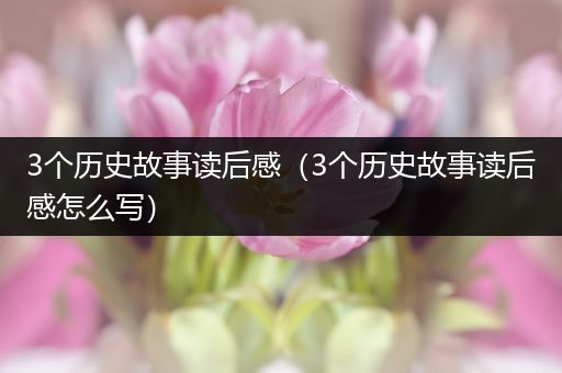 3个历史故事读后感（3个历史故事读后感怎么写）