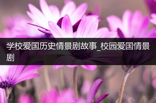 学校爱国历史情景剧故事_校园爱国情景剧