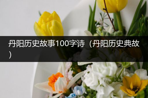 丹阳历史故事100字诗（丹阳历史典故）