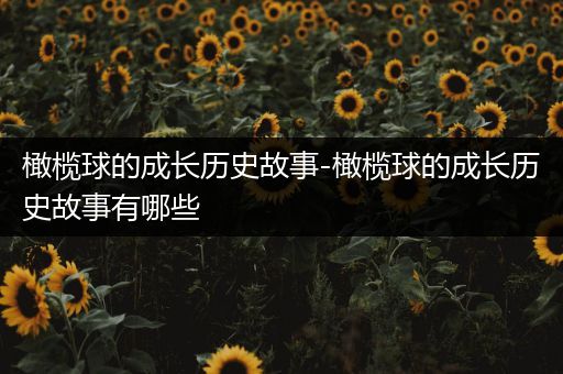 橄榄球的成长历史故事-橄榄球的成长历史故事有哪些