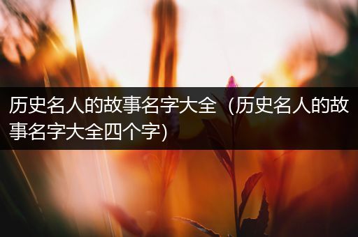 历史名人的故事名字大全（历史名人的故事名字大全四个字）