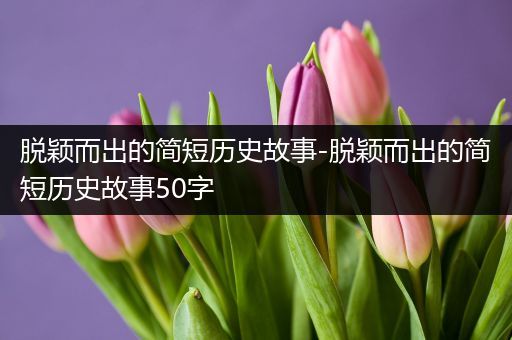 脱颖而出的简短历史故事-脱颖而出的简短历史故事50字