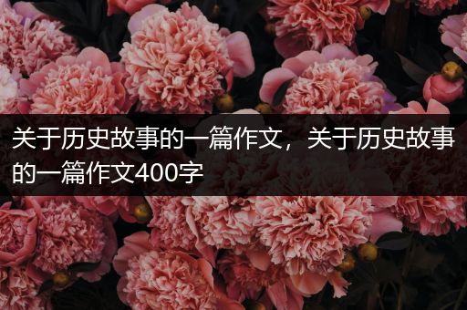 关于历史故事的一篇作文，关于历史故事的一篇作文400字