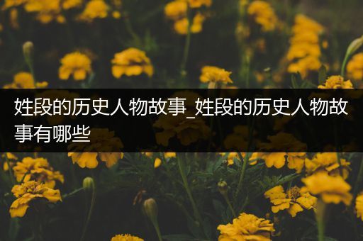 姓段的历史人物故事_姓段的历史人物故事有哪些