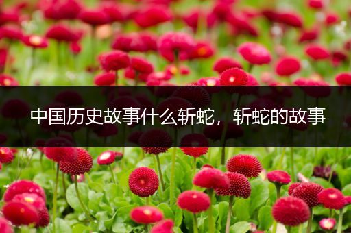 中国历史故事什么斩蛇，斩蛇的故事