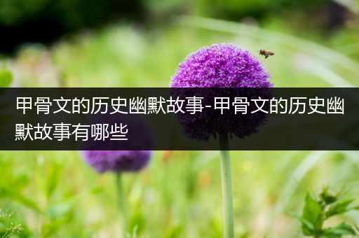 甲骨文的历史幽默故事-甲骨文的历史幽默故事有哪些