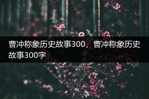 曹冲称象历史故事300，曹冲称象历史故事300字