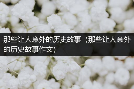 那些让人意外的历史故事（那些让人意外的历史故事作文）