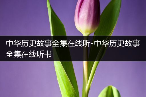 中华历史故事全集在线听-中华历史故事全集在线听书