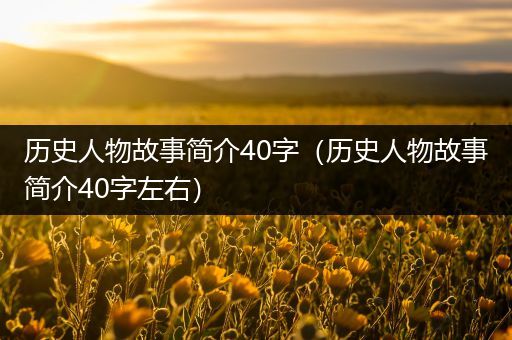 历史人物故事简介40字（历史人物故事简介40字左右）