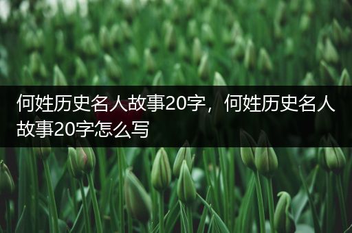 何姓历史名人故事20字，何姓历史名人故事20字怎么写