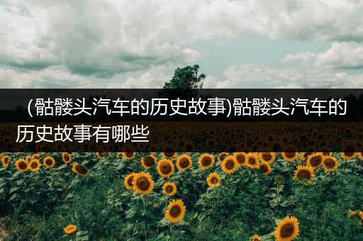 （骷髅头汽车的历史故事)骷髅头汽车的历史故事有哪些