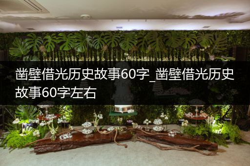 凿壁借光历史故事60字_凿壁借光历史故事60字左右