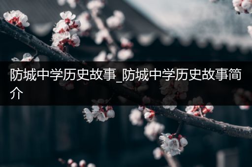 防城中学历史故事_防城中学历史故事简介