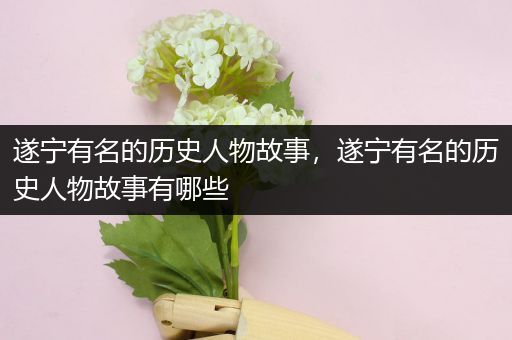 遂宁有名的历史人物故事，遂宁有名的历史人物故事有哪些