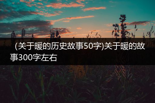 （关于暖的历史故事50字)关于暖的故事300字左右