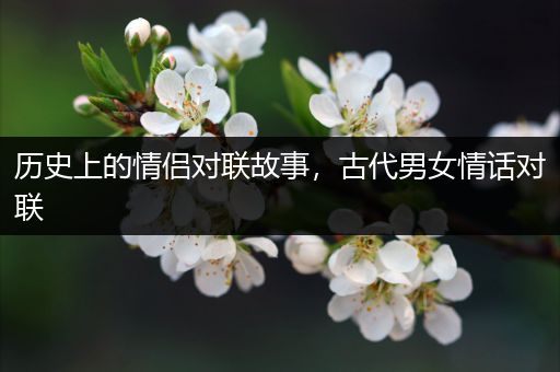 历史上的情侣对联故事，古代男女情话对联