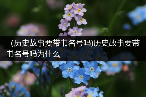 （历史故事要带书名号吗)历史故事要带书名号吗为什么