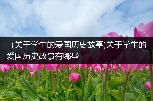 （关于学生的爱国历史故事)关于学生的爱国历史故事有哪些