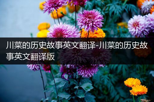 川菜的历史故事英文翻译-川菜的历史故事英文翻译版