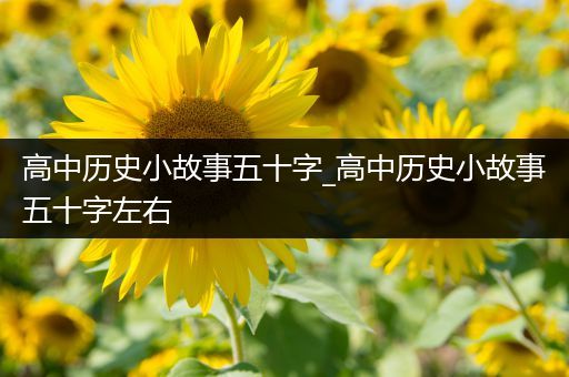 高中历史小故事五十字_高中历史小故事五十字左右