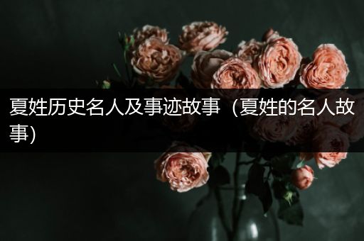 夏姓历史名人及事迹故事（夏姓的名人故事）