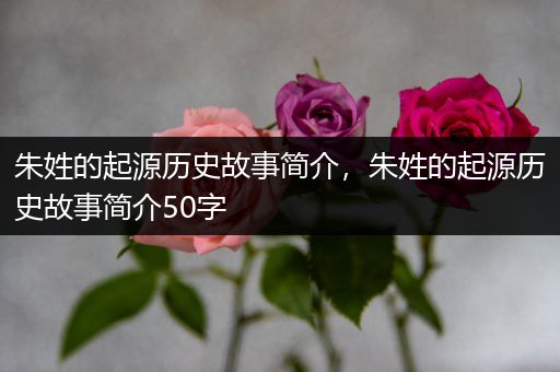 朱姓的起源历史故事简介，朱姓的起源历史故事简介50字