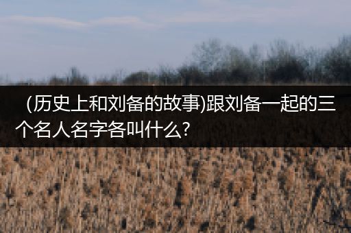 （历史上和刘备的故事)跟刘备一起的三个名人名字各叫什么?