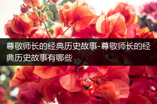 尊敬师长的经典历史故事-尊敬师长的经典历史故事有哪些