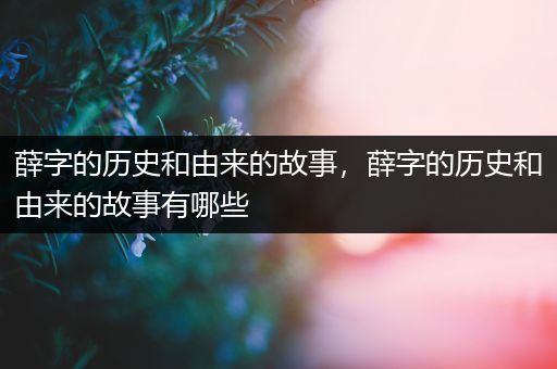 薛字的历史和由来的故事，薛字的历史和由来的故事有哪些